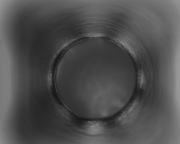 X0000094940351200712061236