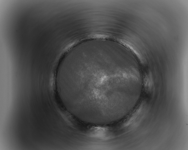 X0000094940352200712061236