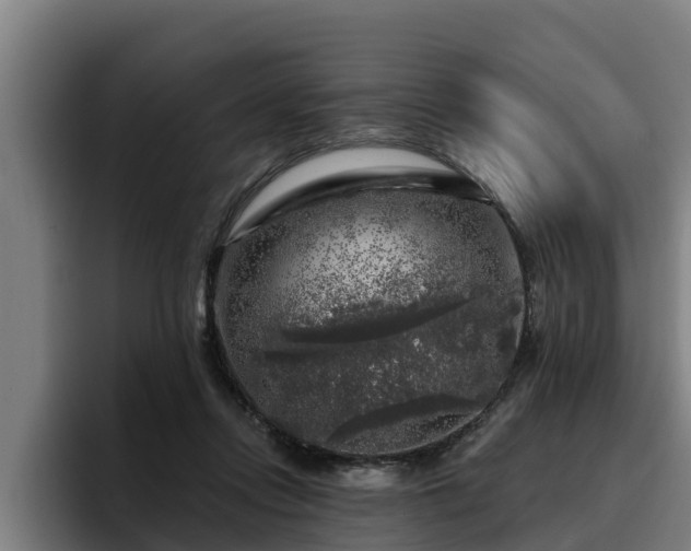 X0000094940358200712061236