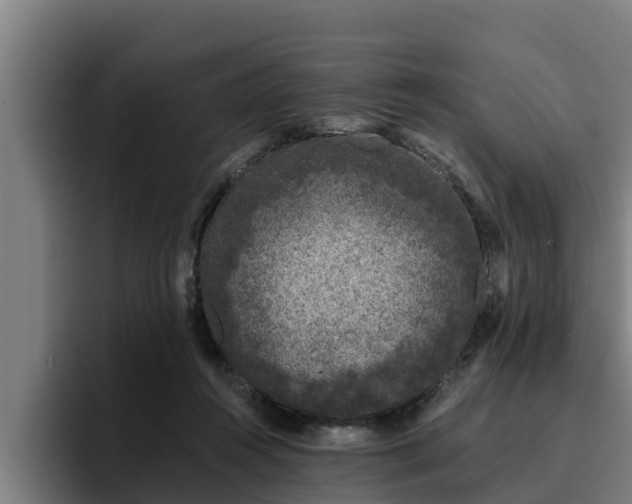 X0000094940360200712061236