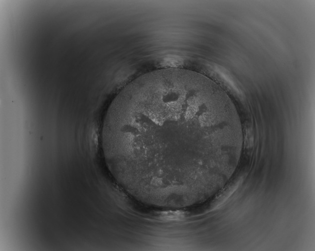 X0000094940363200712061236