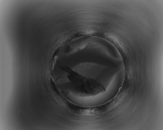 X0000094940366200712061236