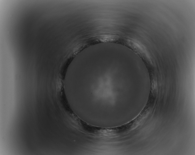 X0000094940367200712061236