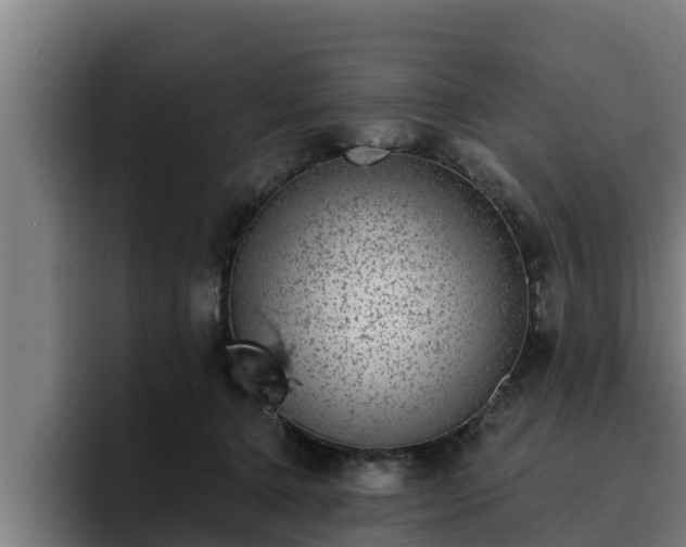 X0000094940368200712061236