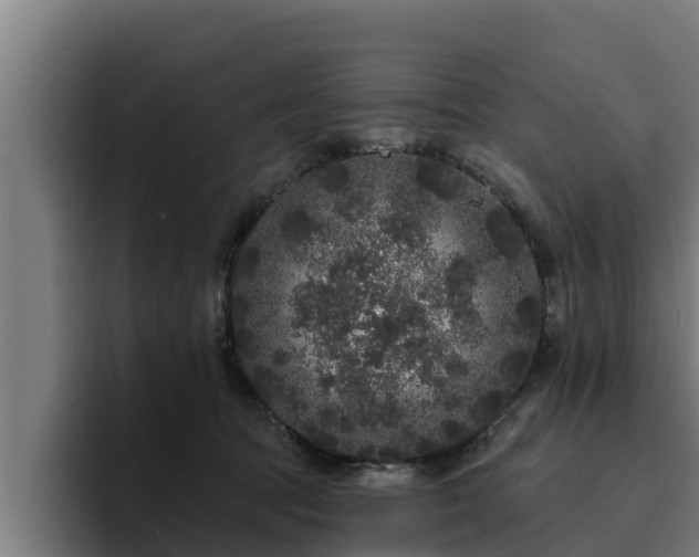 X0000094940369200712061236