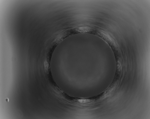 X0000094940371200712061236