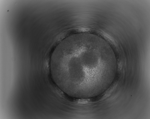 X0000094940373200712061236