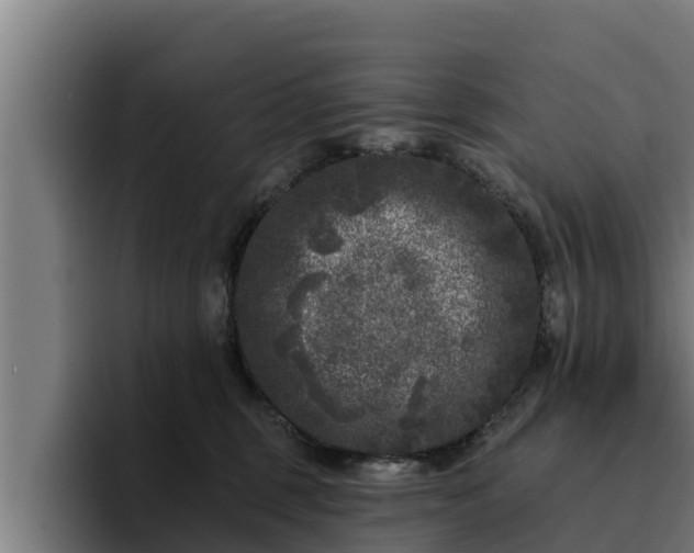 X0000094940375200712061236