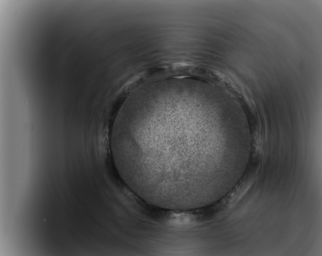 X0000094940376200712061236