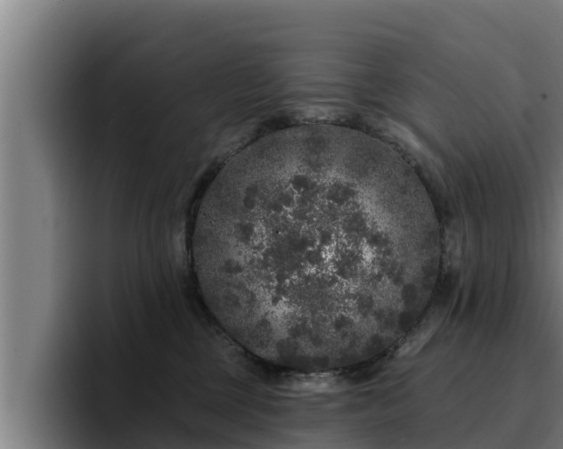 X0000094940377200712061236