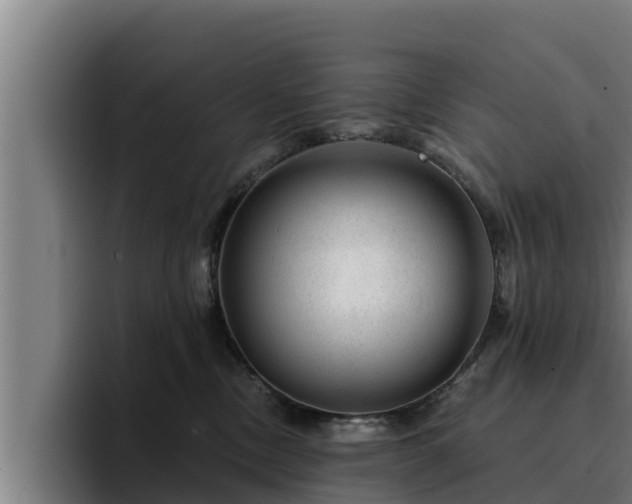 X0000094940378200712061236