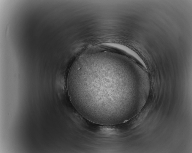 X0000094940380200712061236