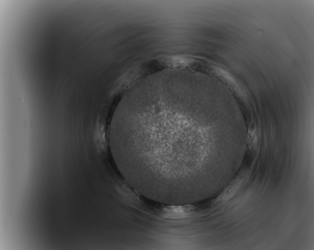 X0000094940381200712061236