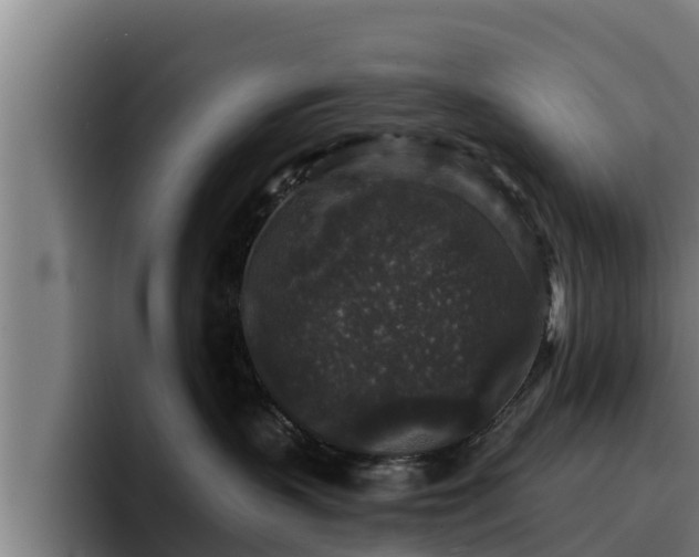 X0000094940383200712061236