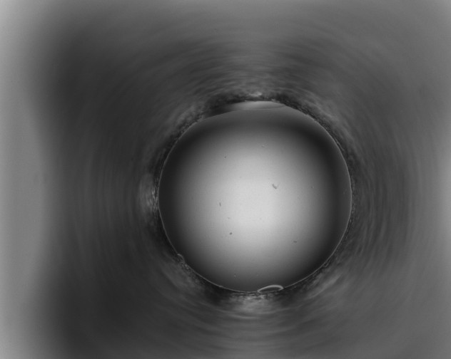 X0000094940384200712061236