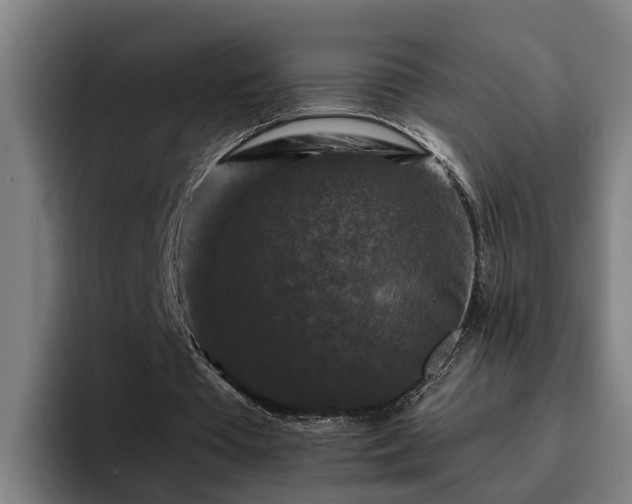 X0000094940385200712061235