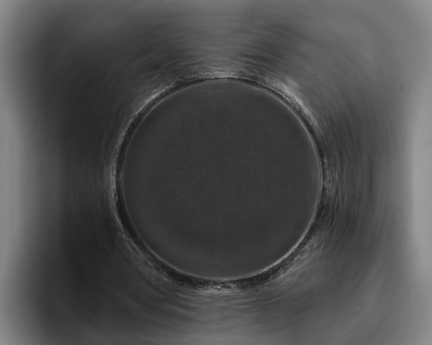 X0000094940386200712061235