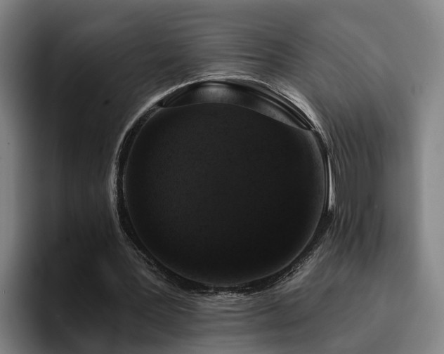 X0000094940387200712061235