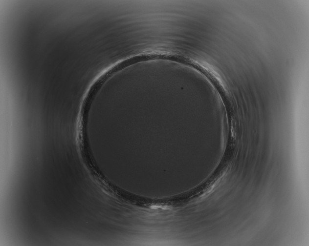 X0000094940388200712061235