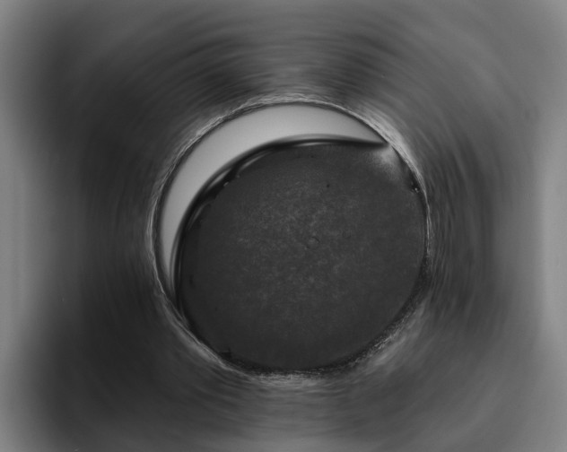 X0000094940389200712061235