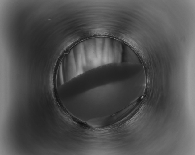 X0000094940390200712061235