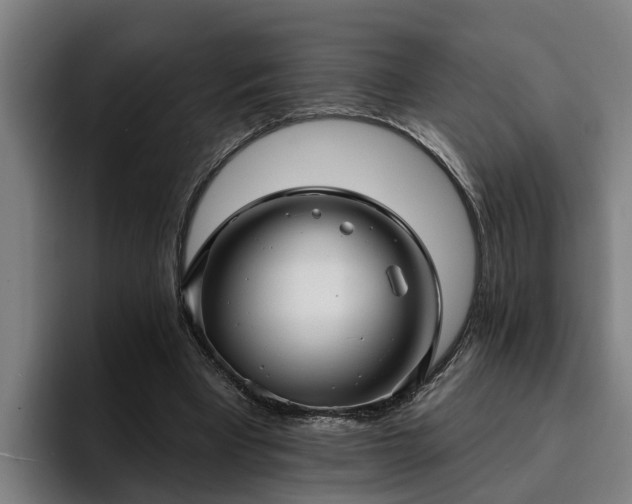 X0000094940393200712061235