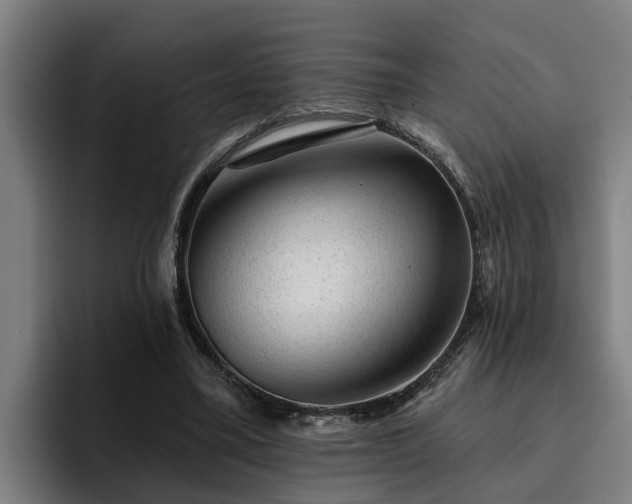 X0000094940395200712061235