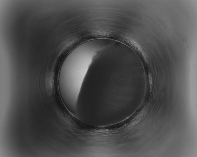 X0000094940396200712061235