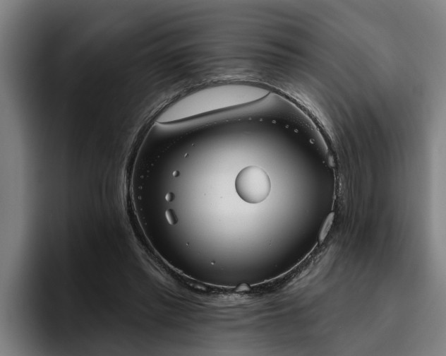 X0000094940397200712061235