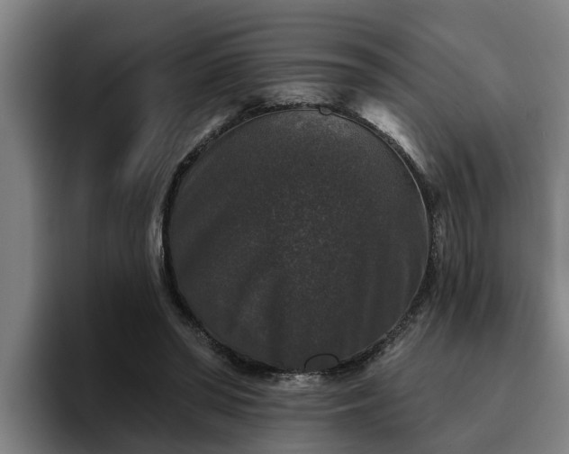 X0000094940398200712061235