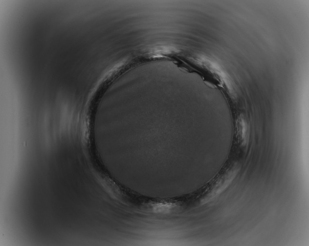 X0000094940400200712061235