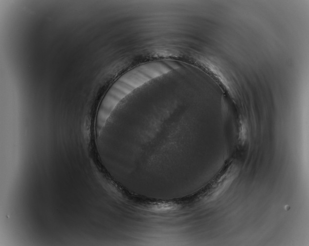 X0000094940402200712061235