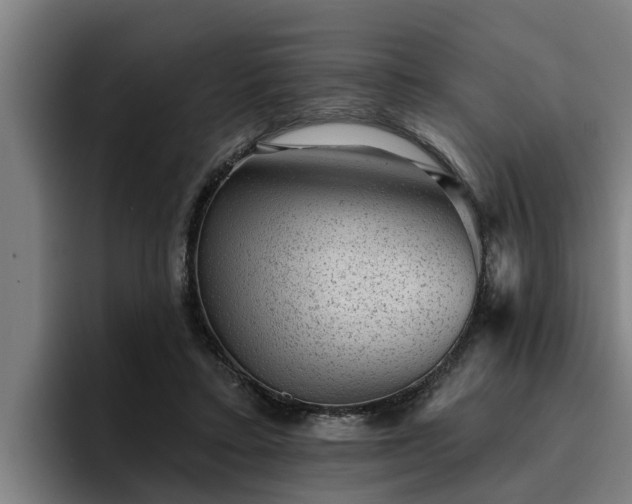 X0000094940403200712061235