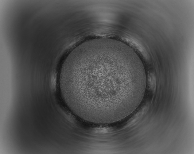 X0000094940404200712061235