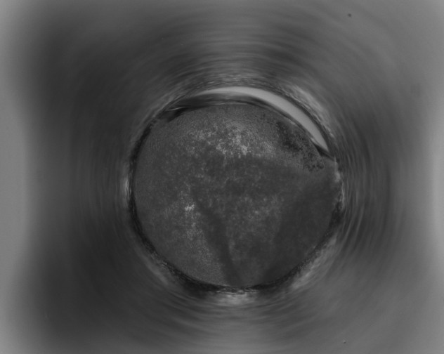 X0000094940405200712061235