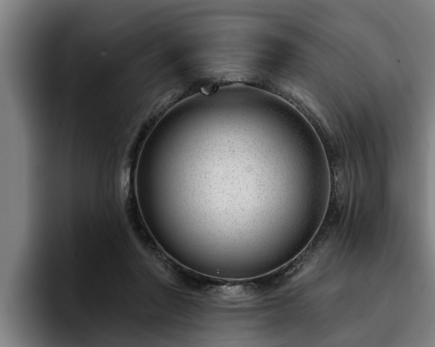 X0000094940406200712061235