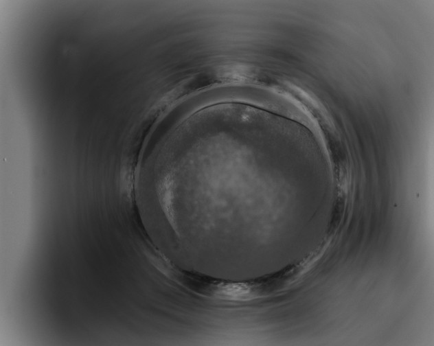 X0000094940409200712061235