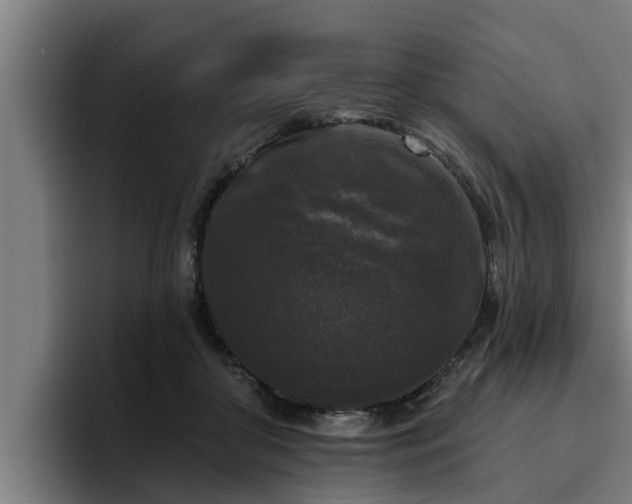 X0000094940410200712061235