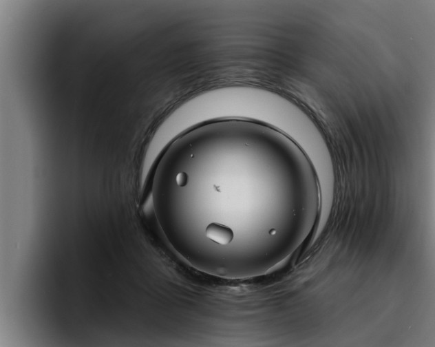 X0000094940411200712061235