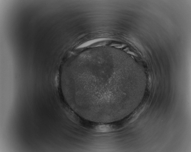 X0000094940413200712061235