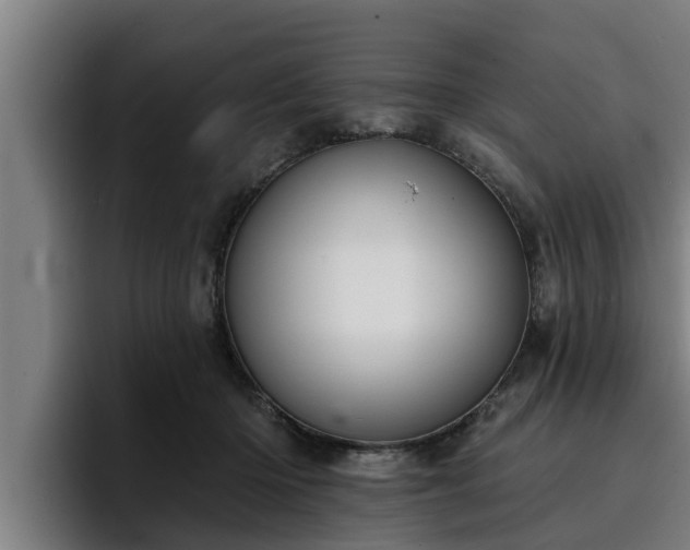 X0000094940414200712061235