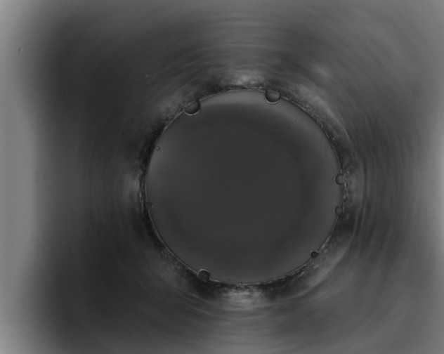 X0000094940415200712061235