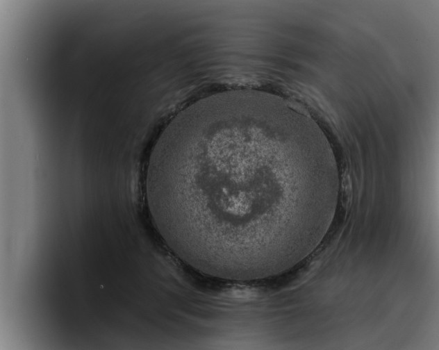 X0000094940416200712061235