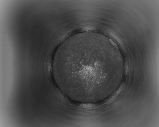 X0000094940417200712061235