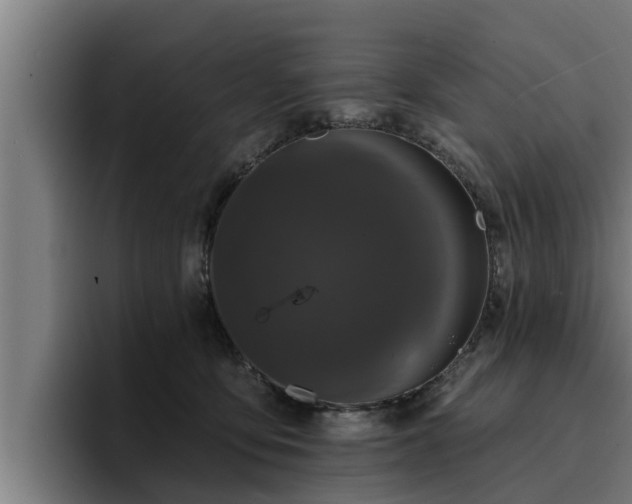 X0000094940419200712061235