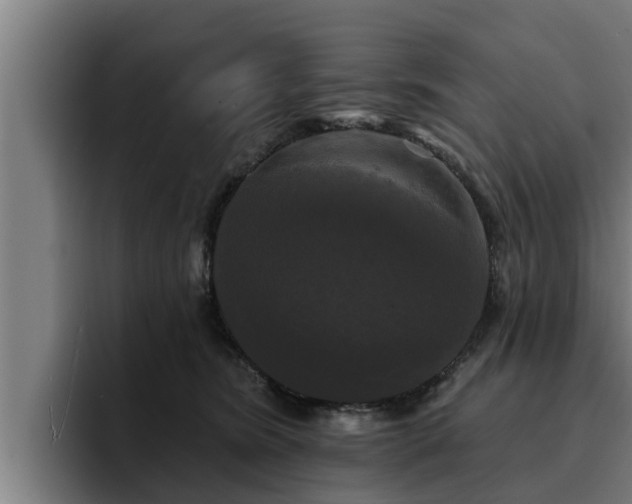 X0000094940420200712061235