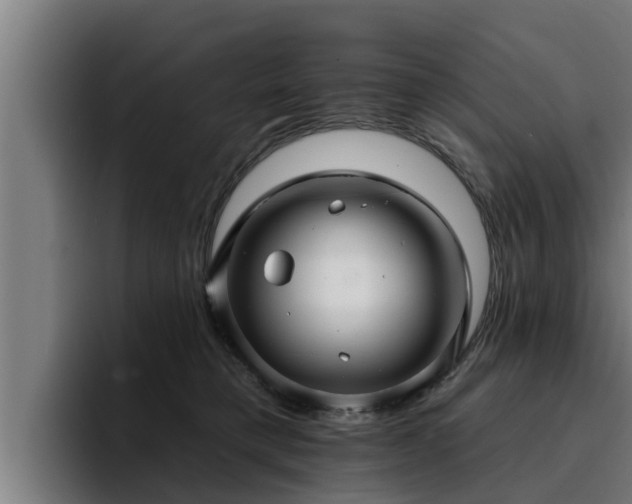 X0000094940421200712061235