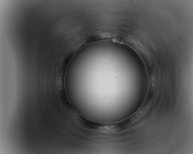 X0000094940422200712061235