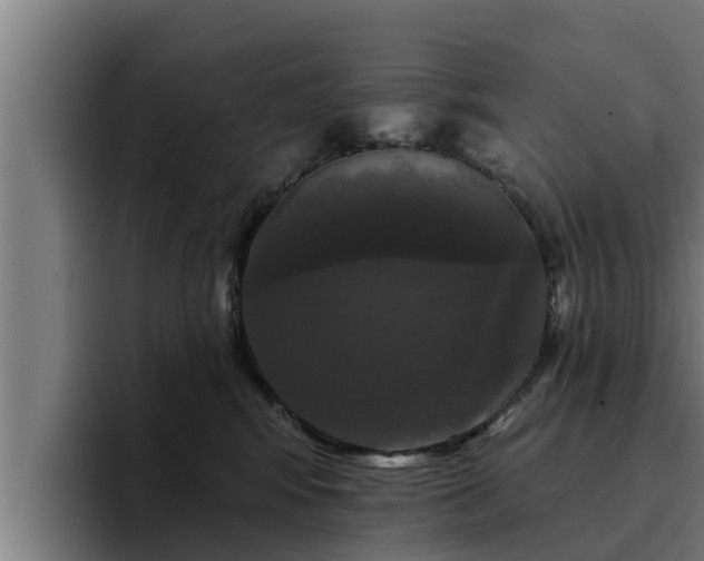 X0000094940424200712061235