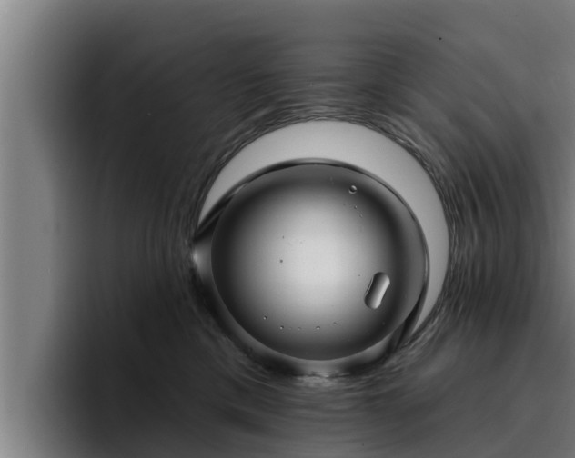 X0000094940425200712061235